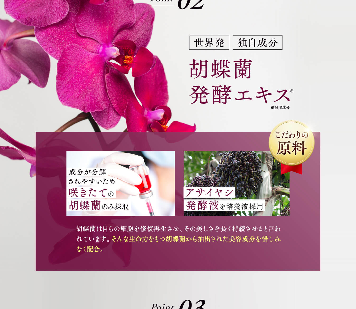 RECELLAN POINT02 世界初 独自成分 胡蝶蘭発酵エキス
