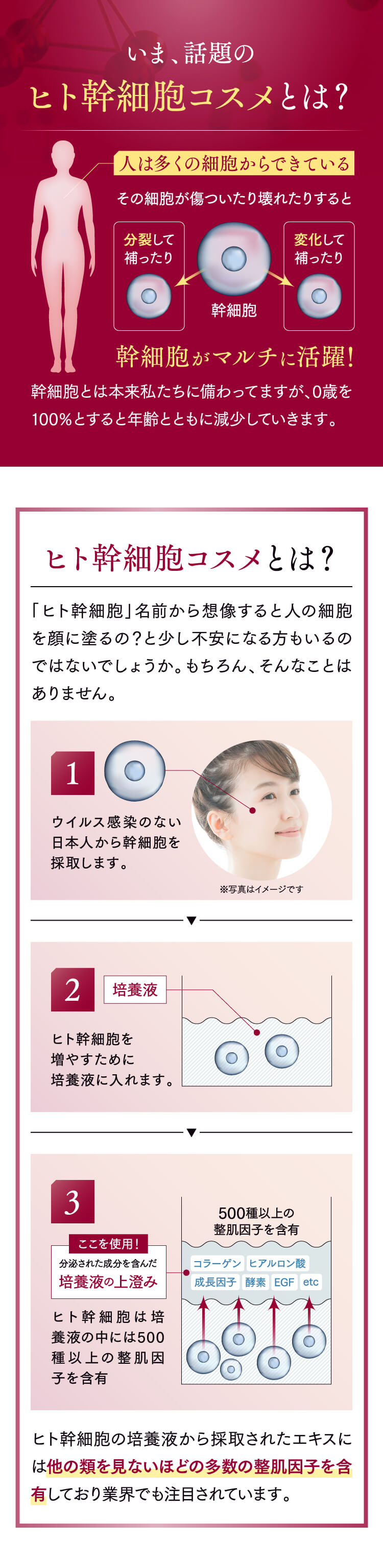 RECELLAN - リセラン --[「RITA COSME」]