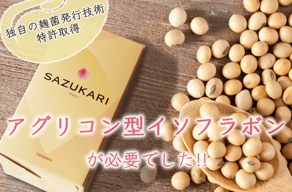 食品 カネキチ様専用(サフラン30g)
